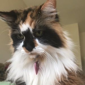 Meet your Posher, Glenna